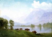 Bierstadt, Albert - Buffalo Country
